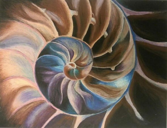 Artist Reception in Arvada, CO