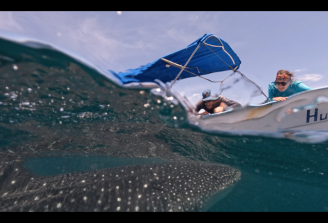 I Went Off The Grid in Baja: 5 Benefits To Living Unplugged I Went Off The Grid in Baja: 5 Benefits To Living Unplugged